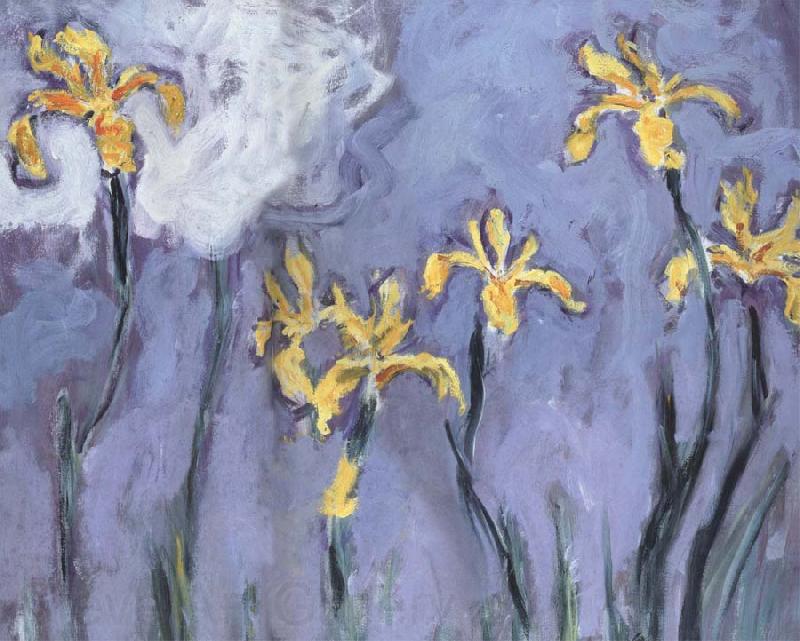 Claude Monet Yellow Irises with Pink Cloud